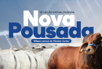 16º LEILÃO BRAHMAN NOVA POUSADA